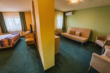 Фото номера Люкс эконом-класса, 3*** Курортные отели Apollo Wellness Club г. Сынджорджу-де-Муреш 2